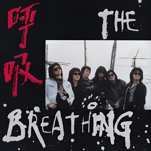 江疏影的小视频
