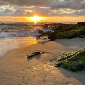 江疏影的小视频
